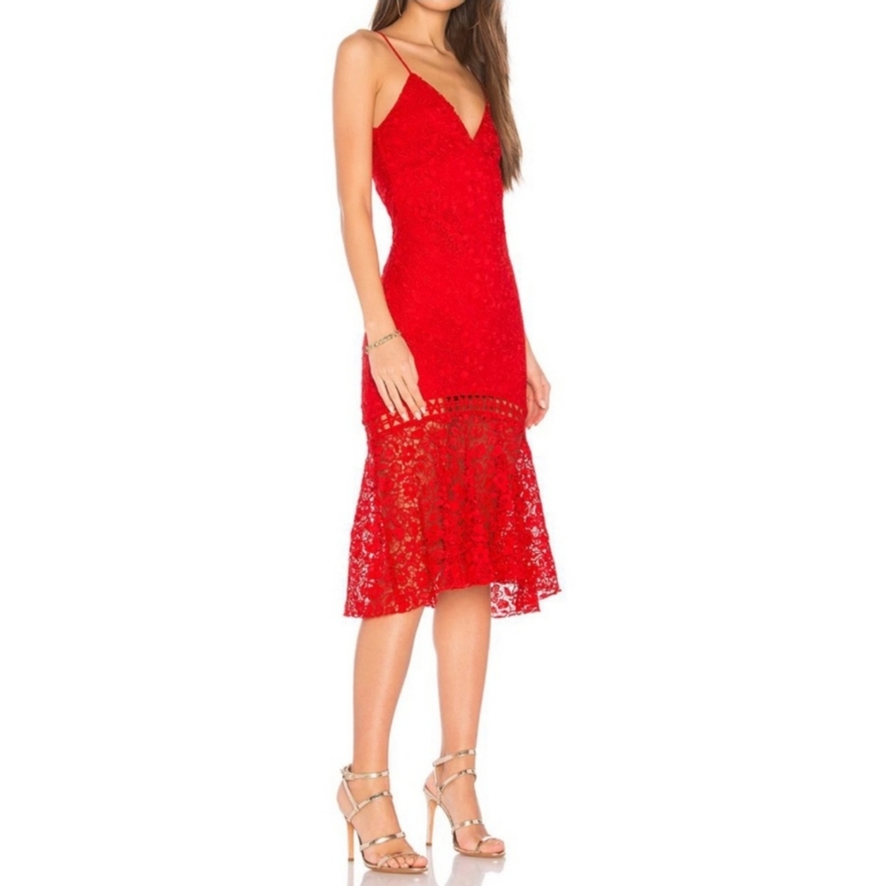 Karina Grimaldi Red Lace Flare Diana Midi Dress - NWT Large
